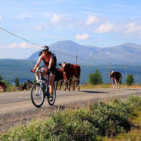 Furulund Pensjonat Ron Buitenkant foto