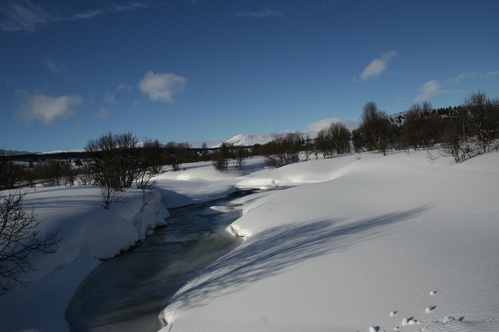 Furulund Pensjonat Ron Buitenkant foto