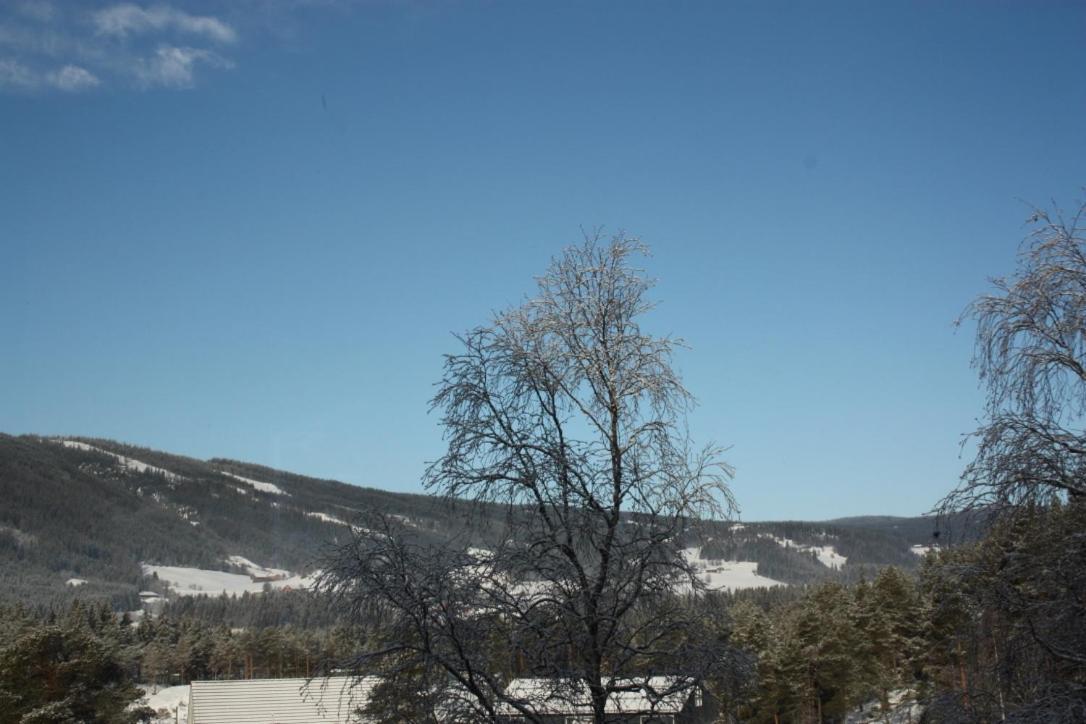 Furulund Pensjonat Ron Buitenkant foto