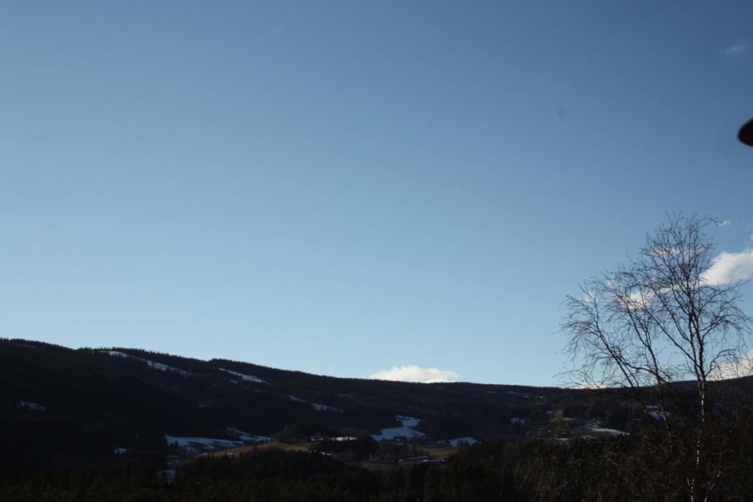 Furulund Pensjonat Ron Buitenkant foto