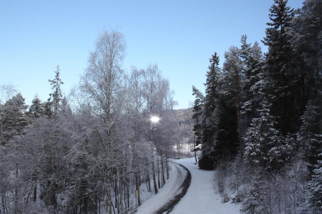 Furulund Pensjonat Ron Buitenkant foto