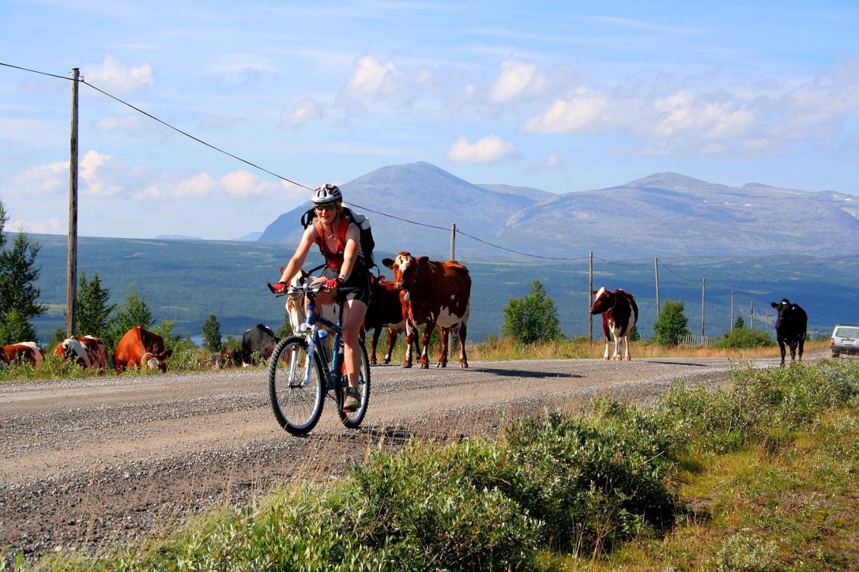 Furulund Pensjonat Ron Buitenkant foto